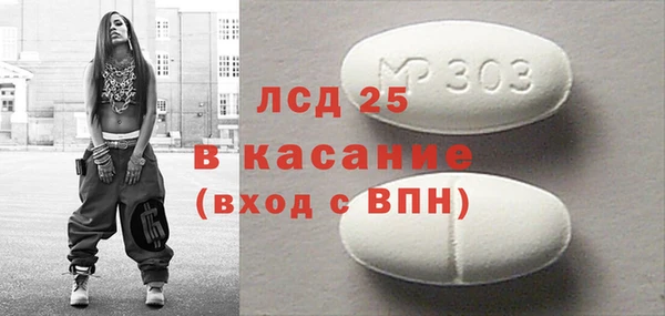 прущие грибы Бородино