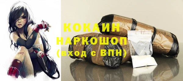 прущие грибы Бородино