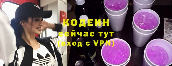 СК Бронницы
