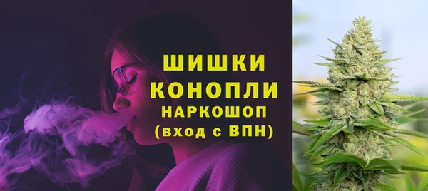 СК Бронницы