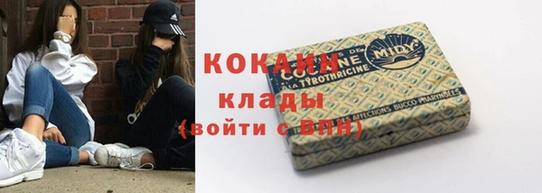 прущие грибы Бородино