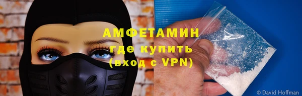 прущие грибы Бородино