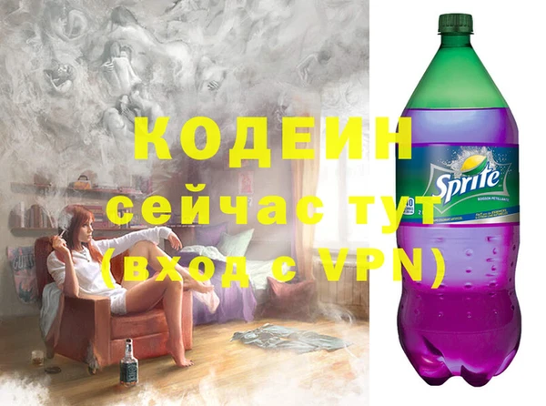прущие грибы Бородино