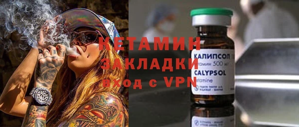 прущие грибы Бородино