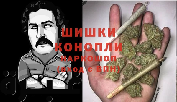 СК Бронницы