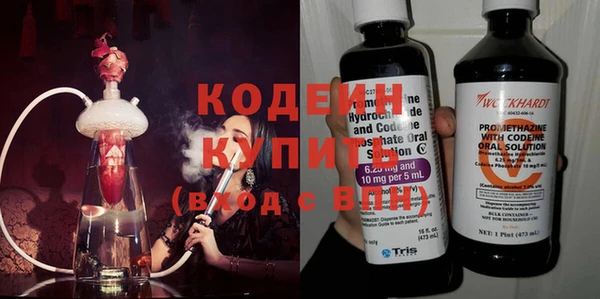 прущие грибы Бородино