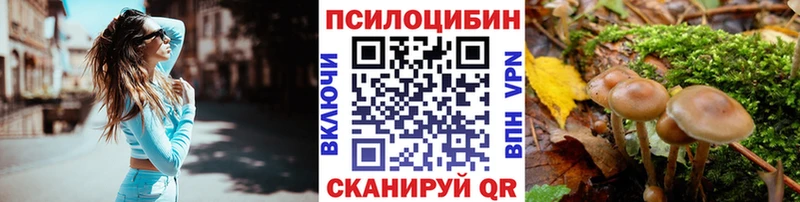 наркотики  Калуга  Галлюциногенные грибы Magic Shrooms 